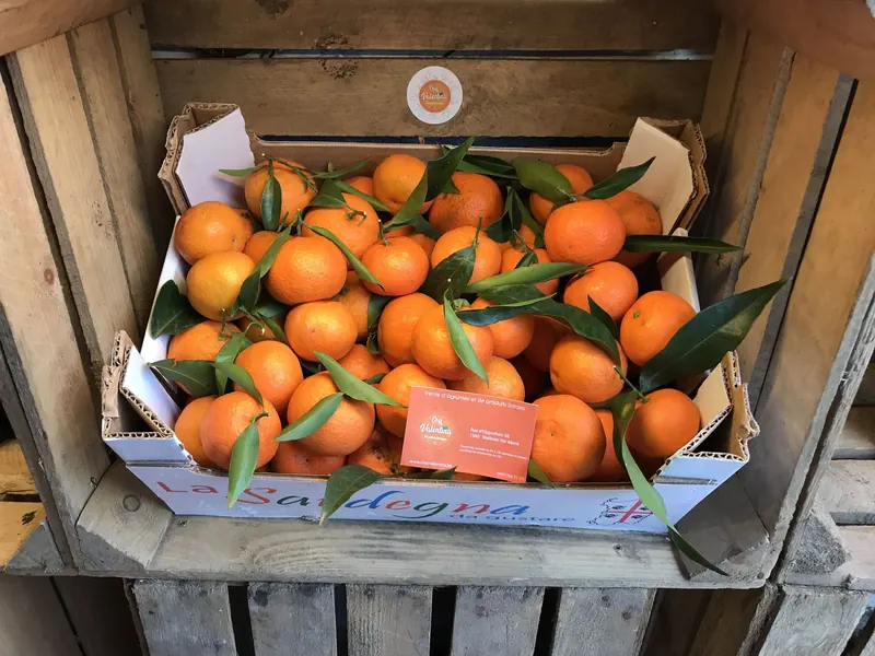 Photo of Azienda Agricola Cattoir