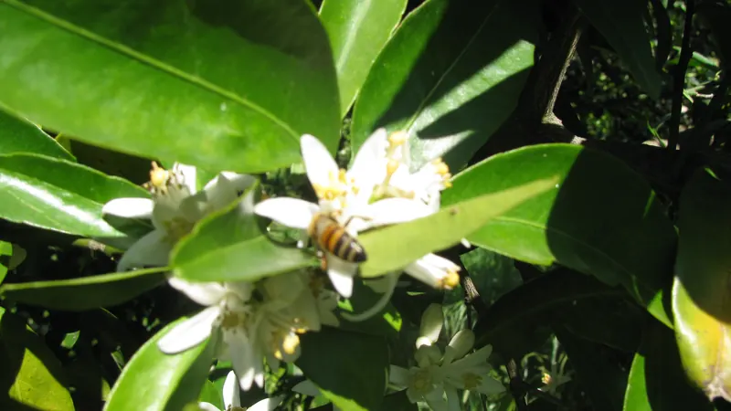 Photo of Azienda Agricola Cattoir