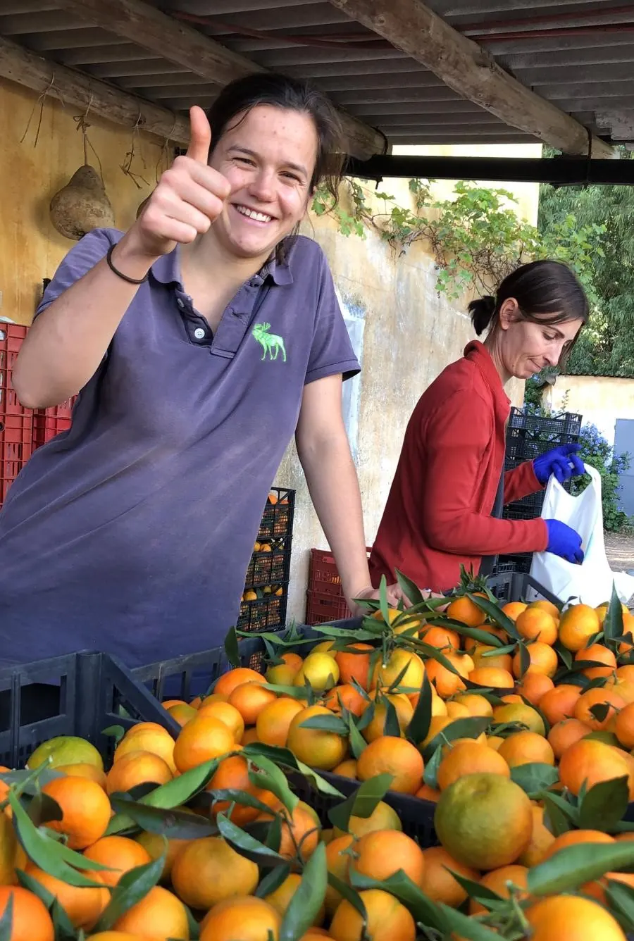 Photo of Azienda Agricola Cattoir