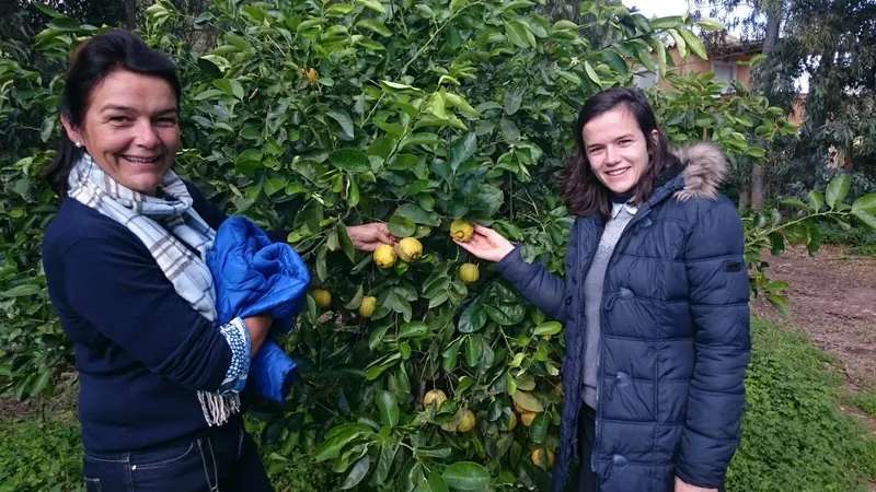 Photo of Azienda Agricola Cattoir