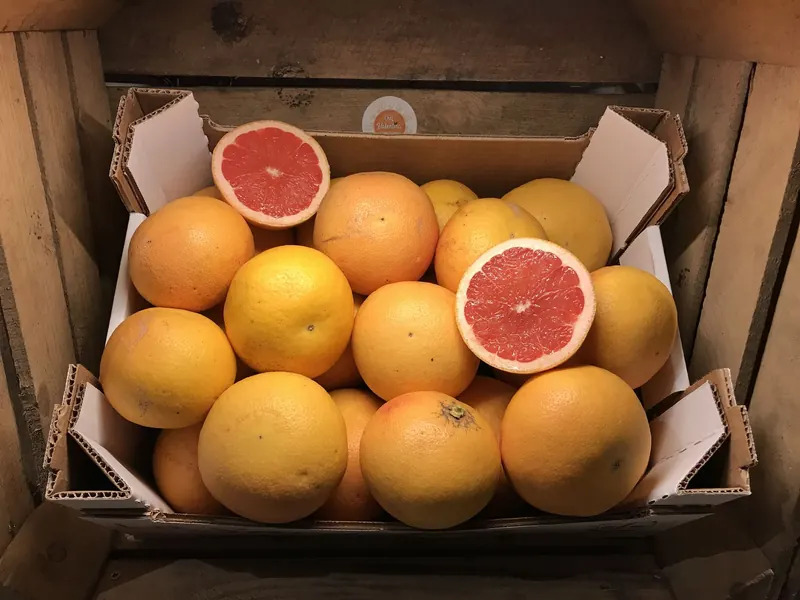 Photo of Azienda Agricola Cattoir