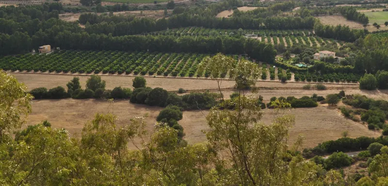Photo of Azienda Agricola Cattoir
